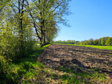 Działka Łaziska Górne