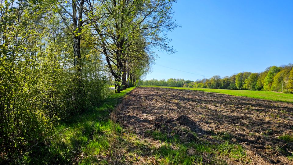 Działka Łaziska Górne