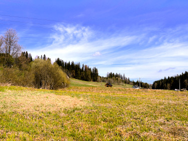 Działka budowlano-rolna Jaworzynka