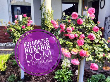 Dom Niekanin sprzedaż