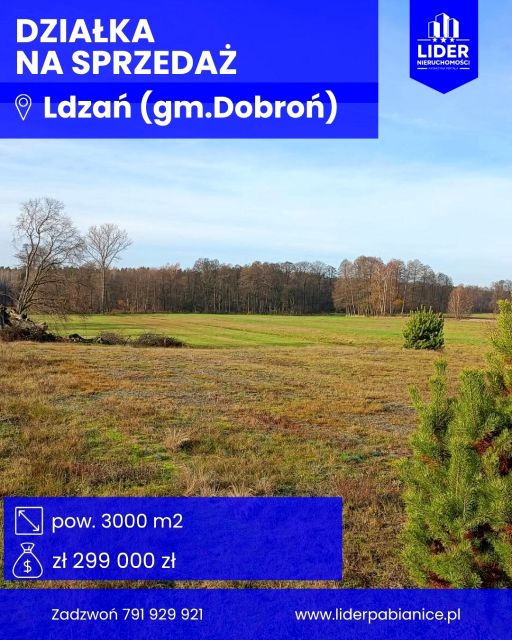 Działka Ldzań