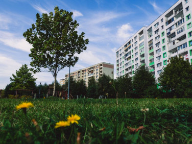 Mieszkanie Gdańsk sprzedaż