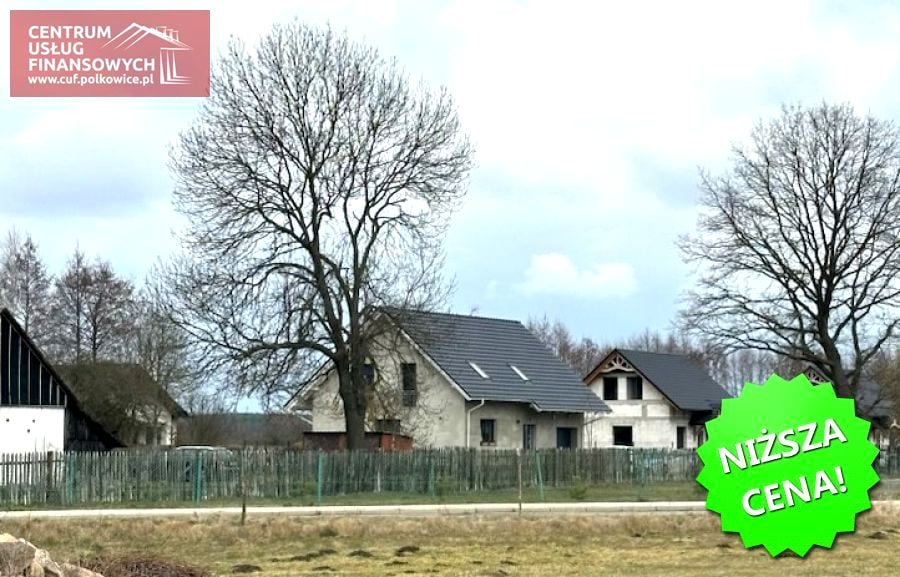 Zdjęcie 3