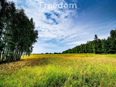 Działka rolna Osieck