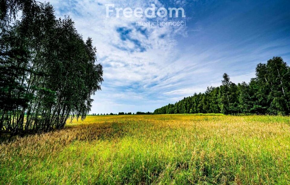Działka rolna Osieck