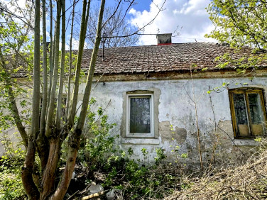 Mieszkanie Wodzierady