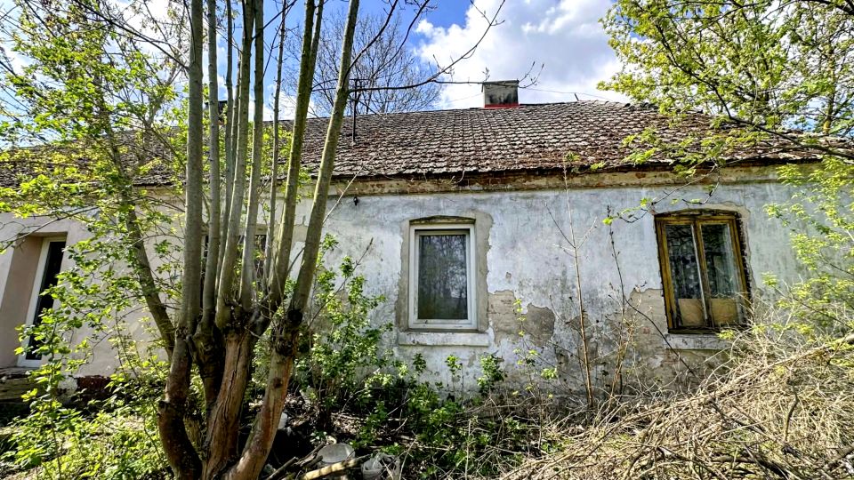 Mieszkanie Wodzierady