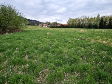 Działka budowlano-rolna Inwałd