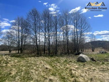 Działka przy lesie