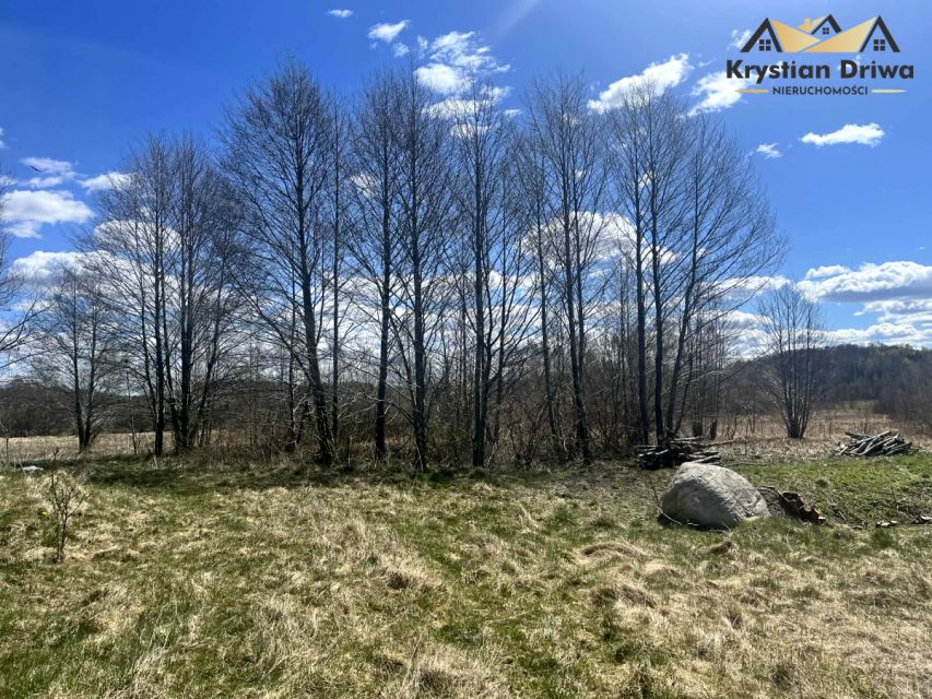 Działka przy lesie