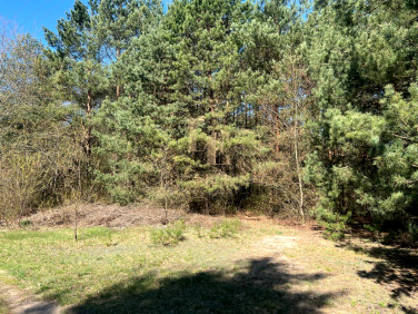 Działka rekreacyjna Cieksyn