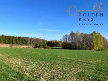 Działka budowlana Roczyny