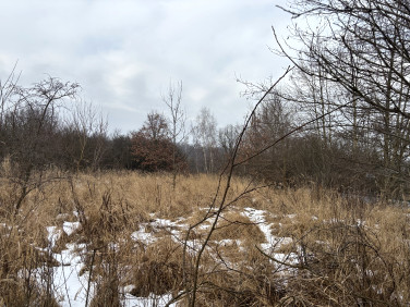 Działka budowlana Katowice