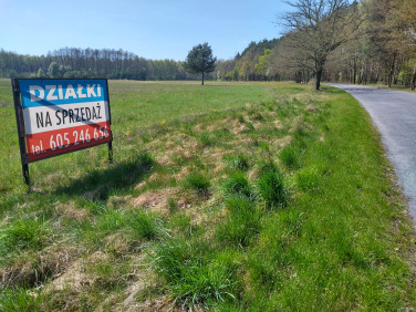 Działka rekreacyjna Karłowice