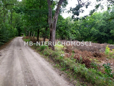 Działka siedliskowa Mątki