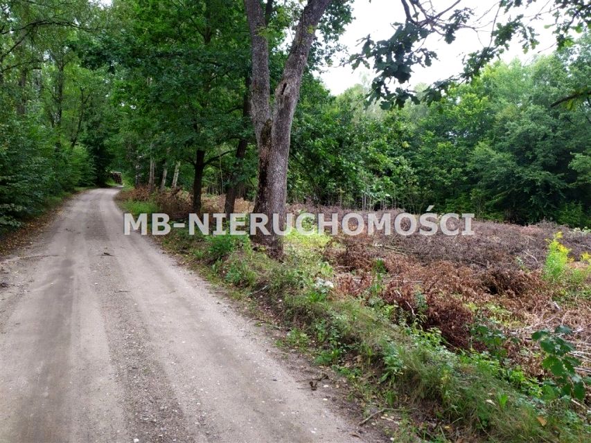 Działka siedliskowa Mątki