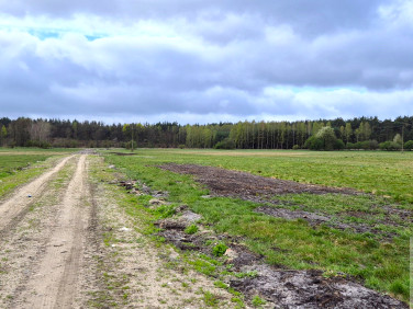 Działka budowlana Rzywno