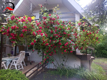 Działka rekreacyjna Wincentowo