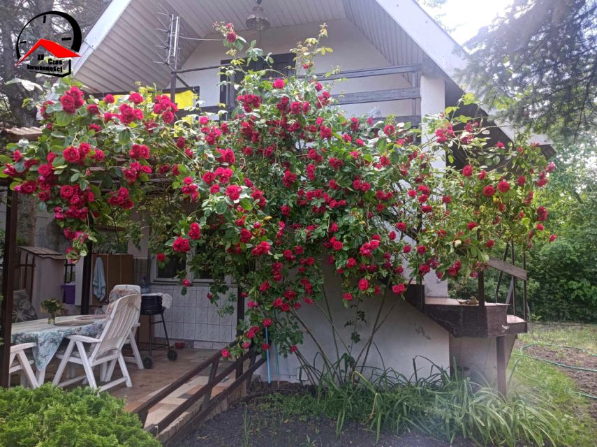 Działka rekreacyjna Wincentowo