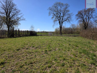 Działka Starzyński Dwór