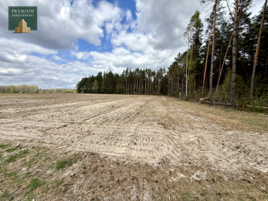 Działka siedliskowa Koźliki