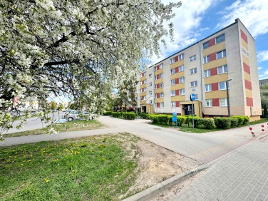 Mieszkanie Inowrocław