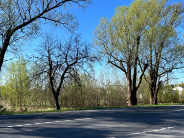 Działka usługowa Bugaj