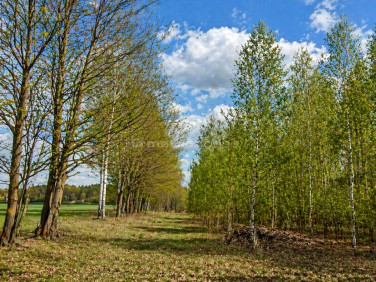 Działka Wólka Strobowska