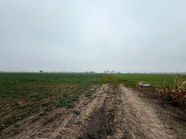 Działka rolna Batorowo