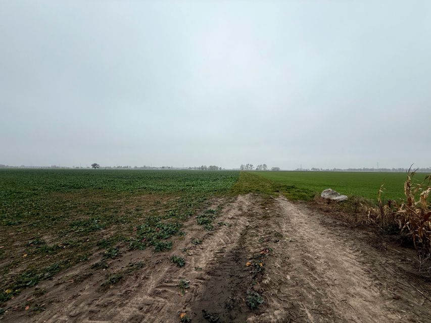 Działka rolna Batorowo