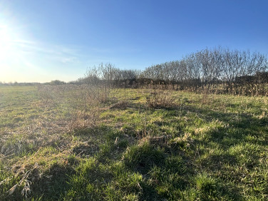 Działka rolna Cisówka sprzedam