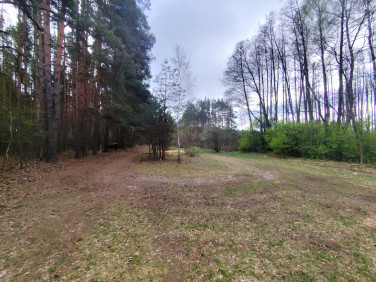 Działka budowlana Kuriany sprzedam