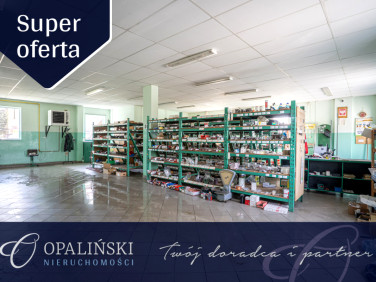 Lokal Cieszanów