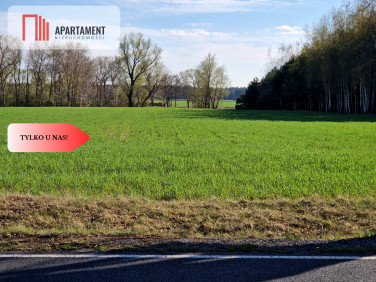 Działka budowlana Kołdrąb