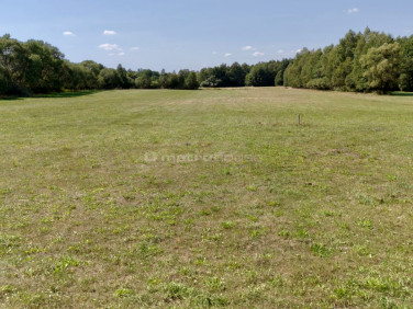 Działka budowlana Czubajowizna