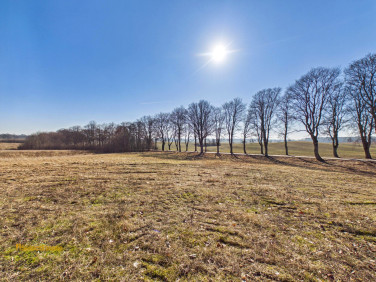 Działka rolna Płocie