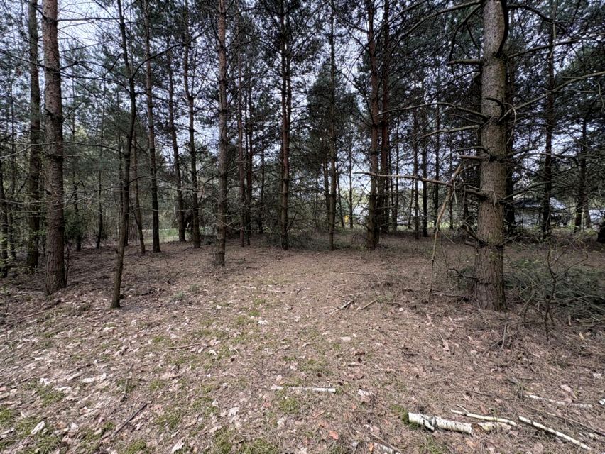 Działka rekreacyjna Borówek