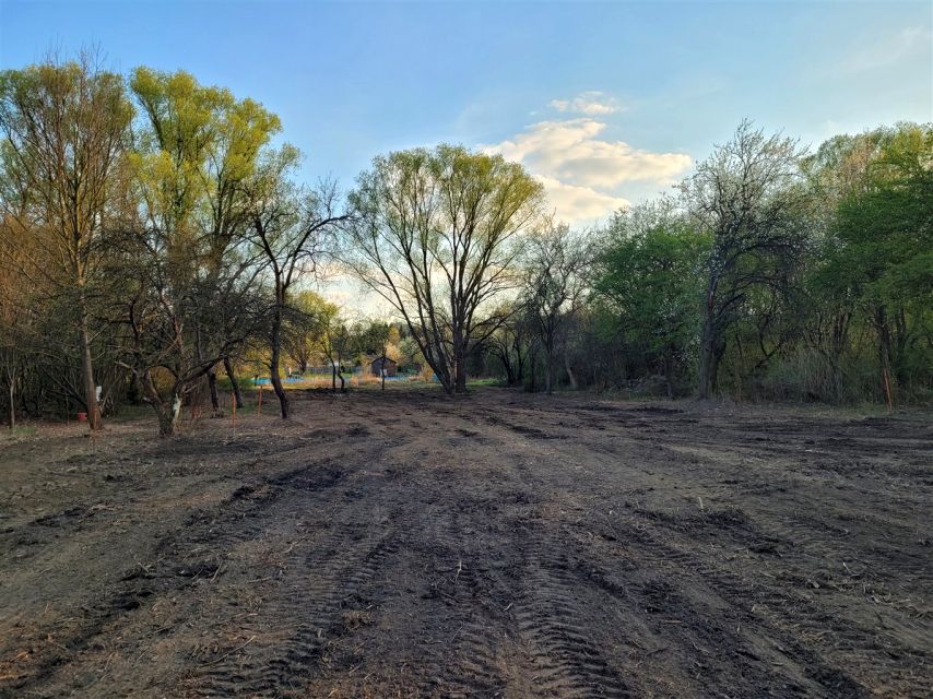 Działka budowlana Sosnowiec