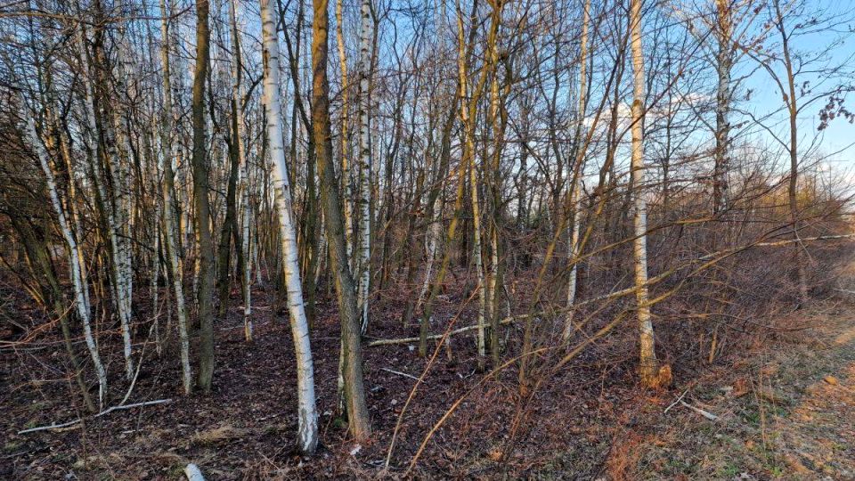 Działka budowlana Milanówek