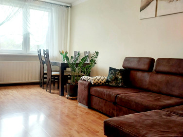 Mieszkanie Ogrodzona