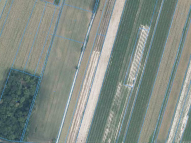 Działka budowlana Bartłomiejowice