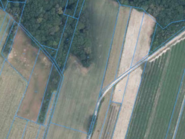 Działka rolna Bartłomiejowice