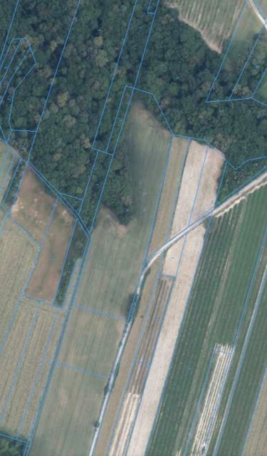 Działka rolna Bartłomiejowice