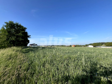 Działka budowlana Kikorze