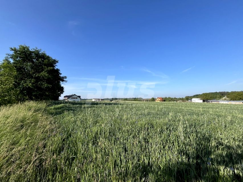 Działka budowlana Kikorze