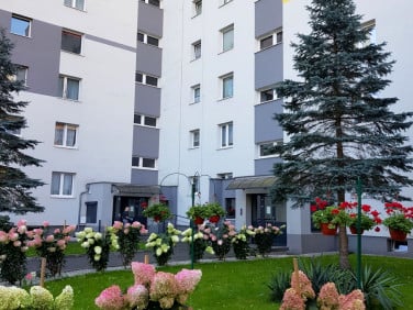 Mieszkanie Zielona Góra sprzedaż