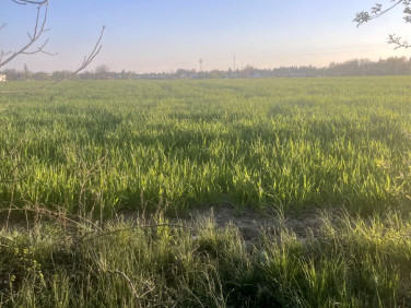 Działka inwestycyjna Plewiska