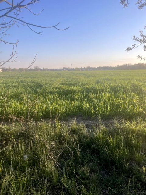 Działka inwestycyjna Plewiska