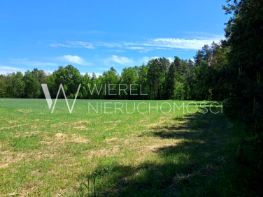 Działka budowlana Mulawicze