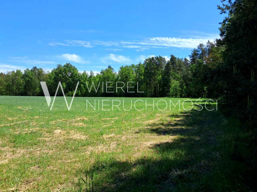 Działka budowlana Mulawicze